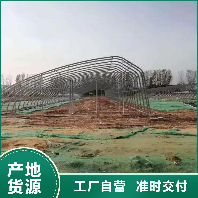 【大棚管2大棚管库存丰富】