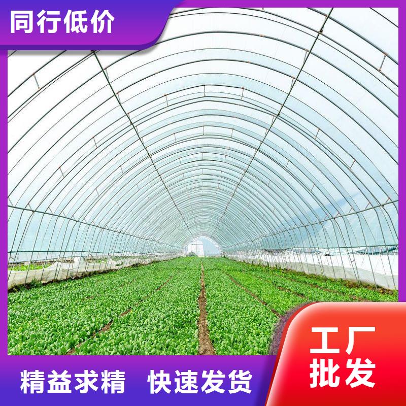 【大棚管2,温室大棚管源头厂家量大价优】
