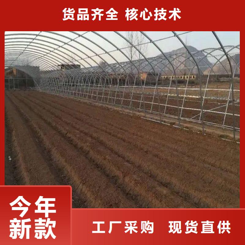 大棚管2连栋大棚管层层质检