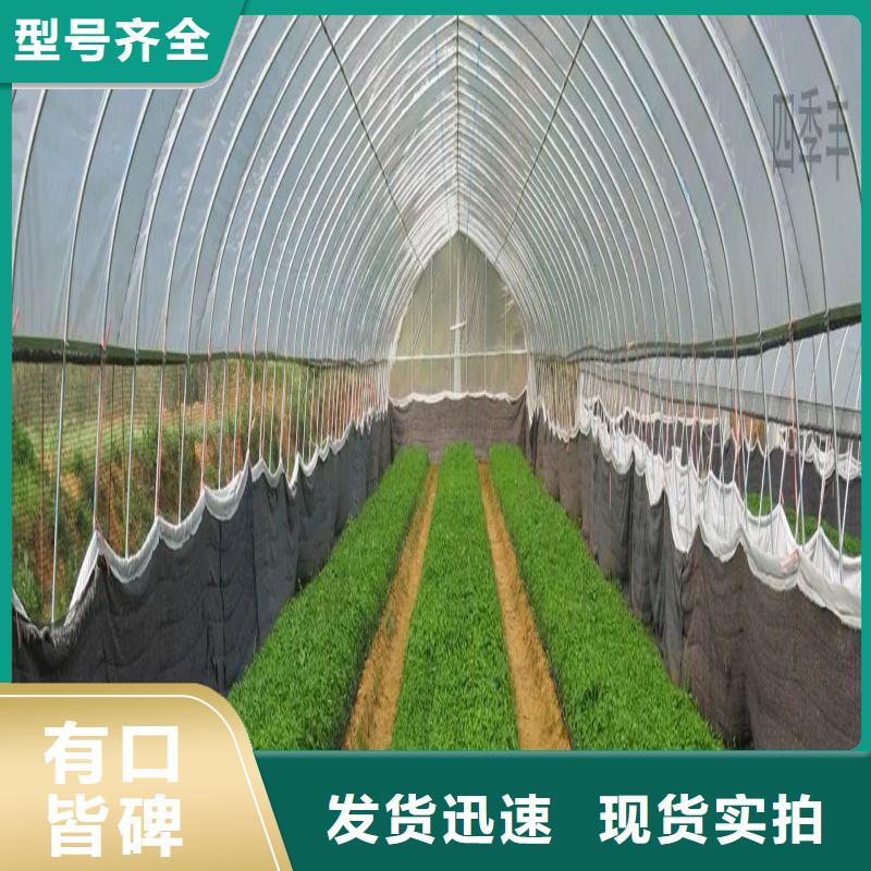 大棚管2【椭圆管温室大棚】无中间商厂家直销