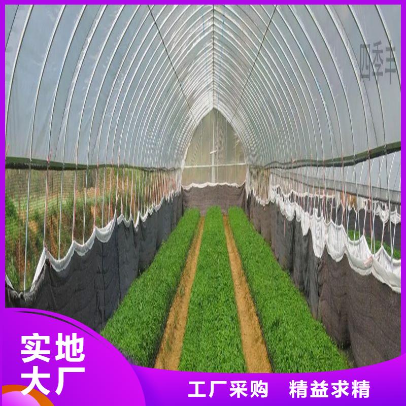 大棚管2-【镀锌大棚管】专业品质