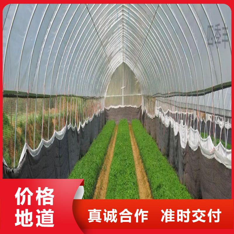大棚管2镀锌大棚管优选厂家