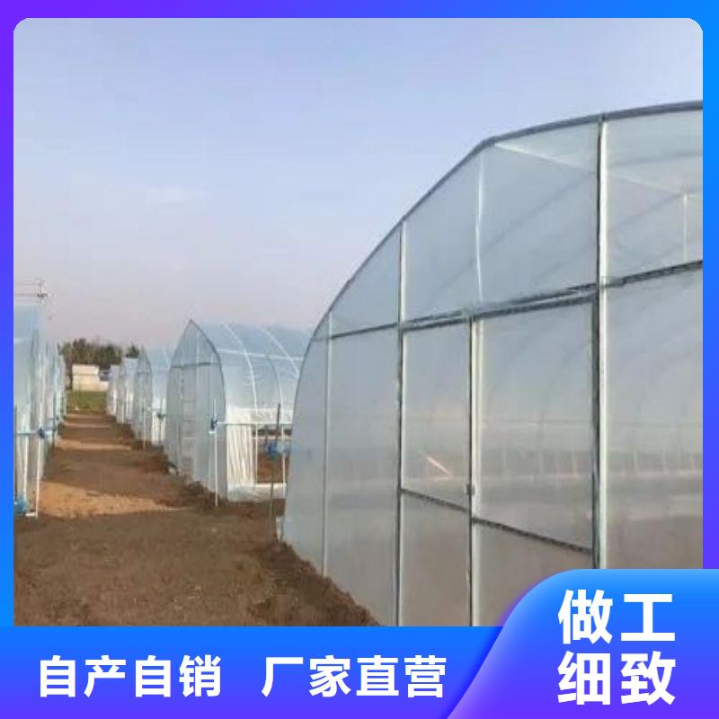 大棚管2【大棚管】细节展示