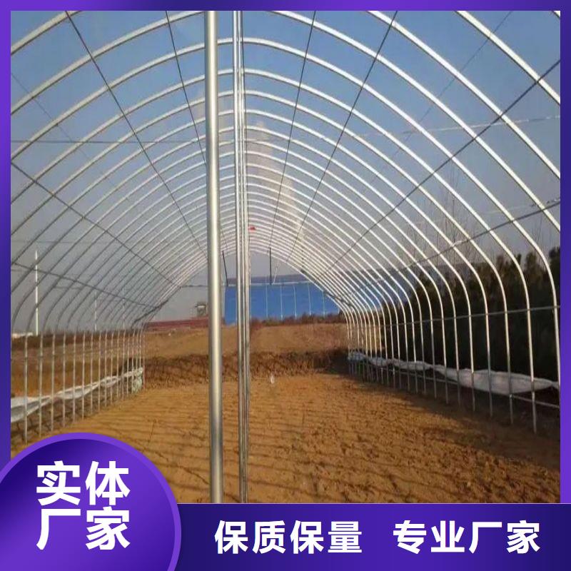 大棚管2【大棚管】细节展示