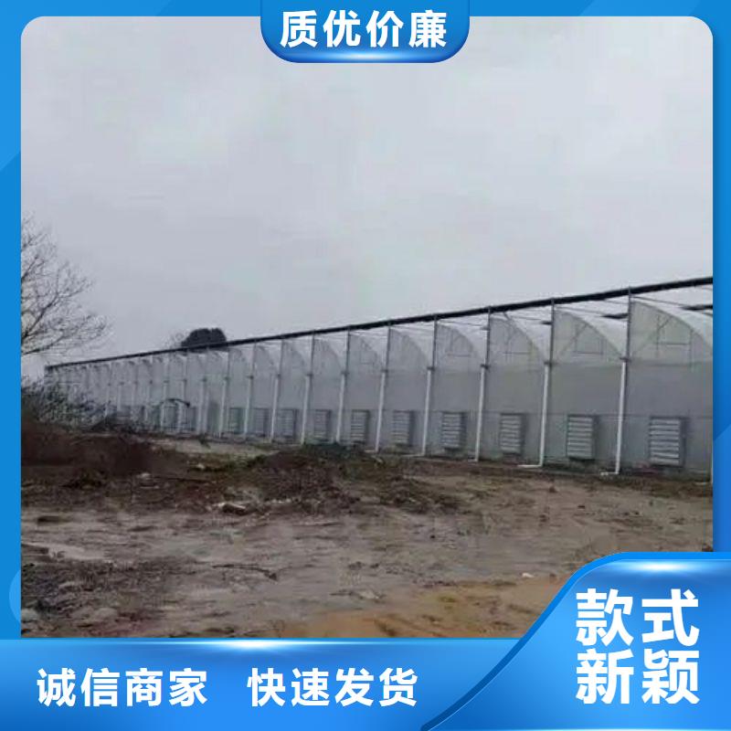 大棚管2-连栋温室搭建适用场景