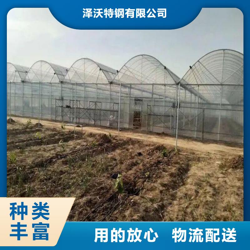 大棚管2
蔬菜温室大棚管合作共赢
