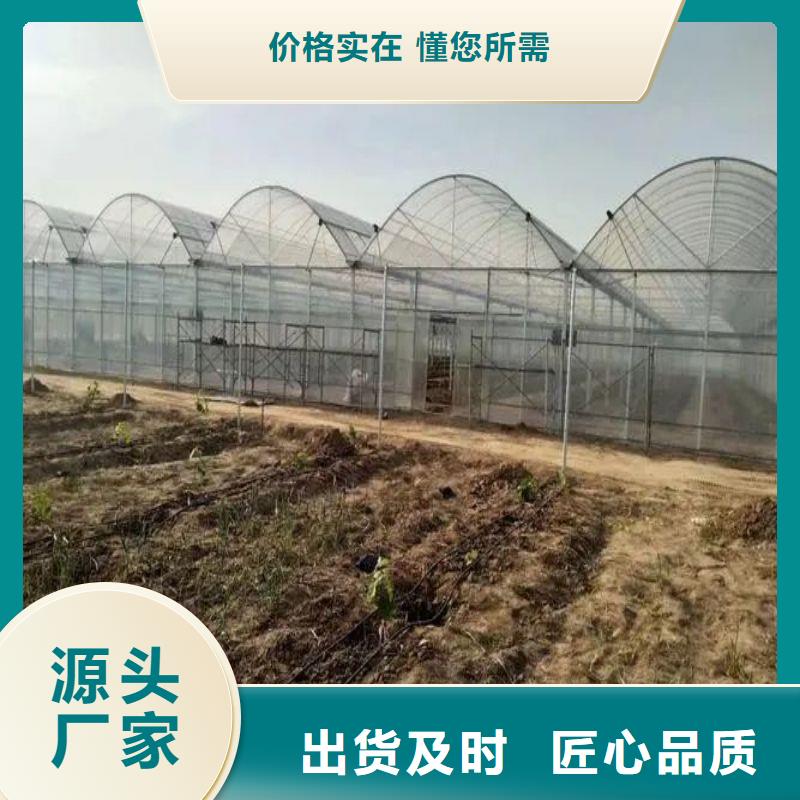 大棚管2大棚管常年供应