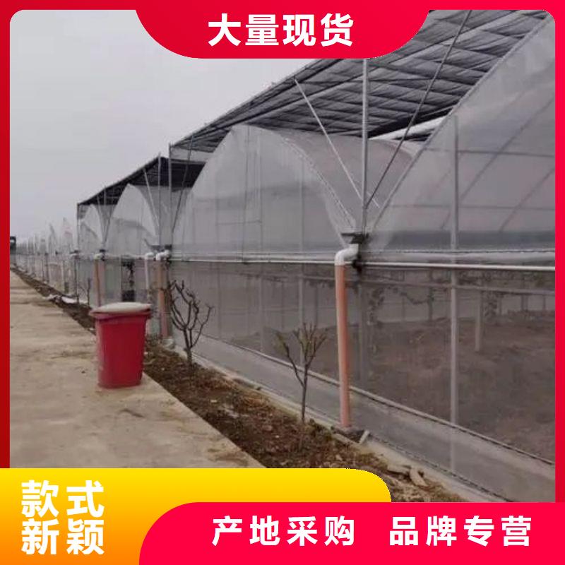 大棚管2椭圆管温室大棚支持大批量采购