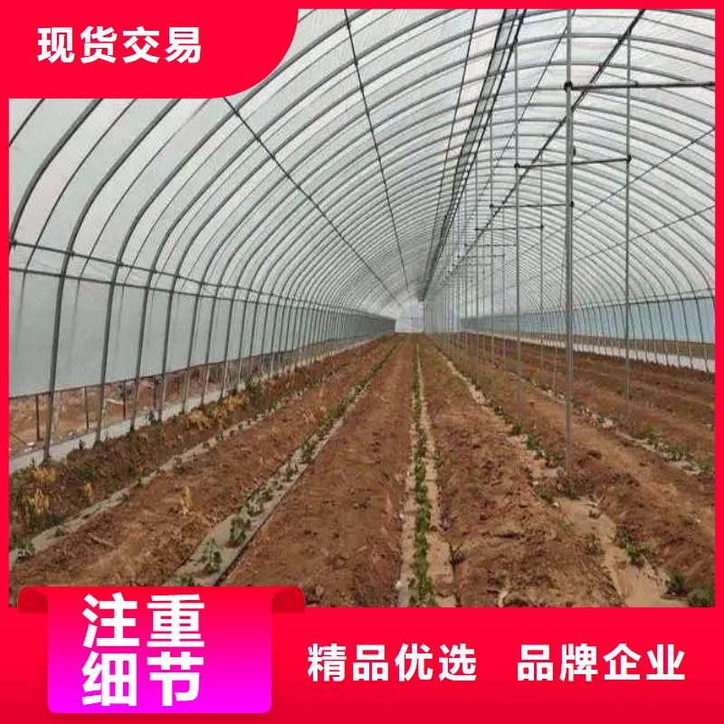 【大棚管2】-连栋大棚管源头厂家经验丰富