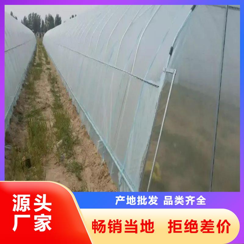 大棚管2-农业养殖大棚管经销商