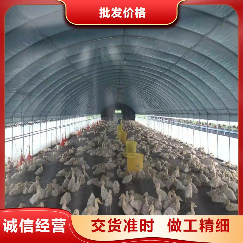 大棚管2方管批发货源