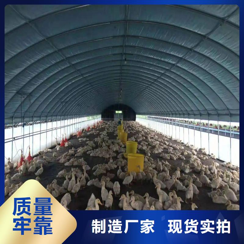 大棚管2连栋大棚管层层质检