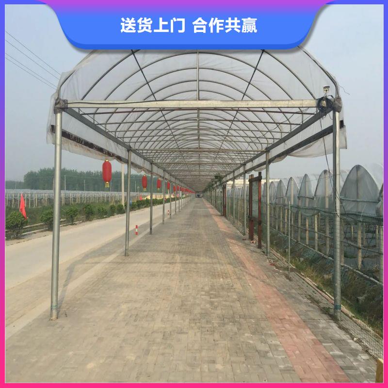 大棚管2【大棚管】细节展示