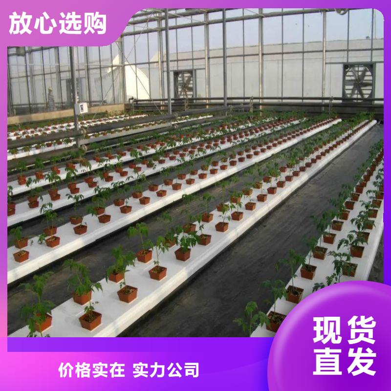 大棚管2
大棚管厂家优选原材