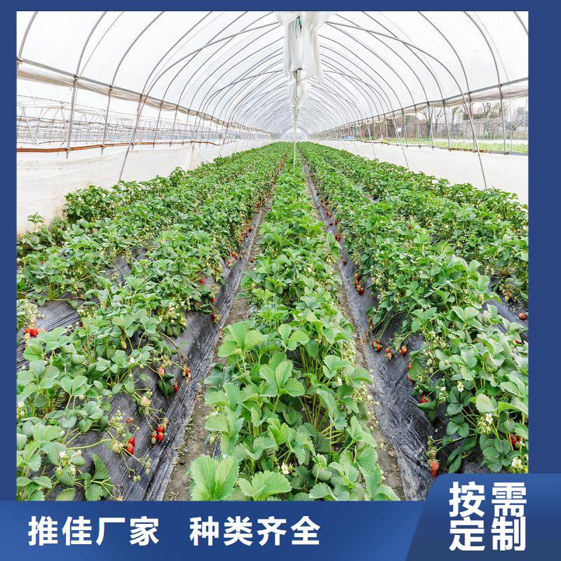 大棚管2镀锌大棚管严格把关质量放心