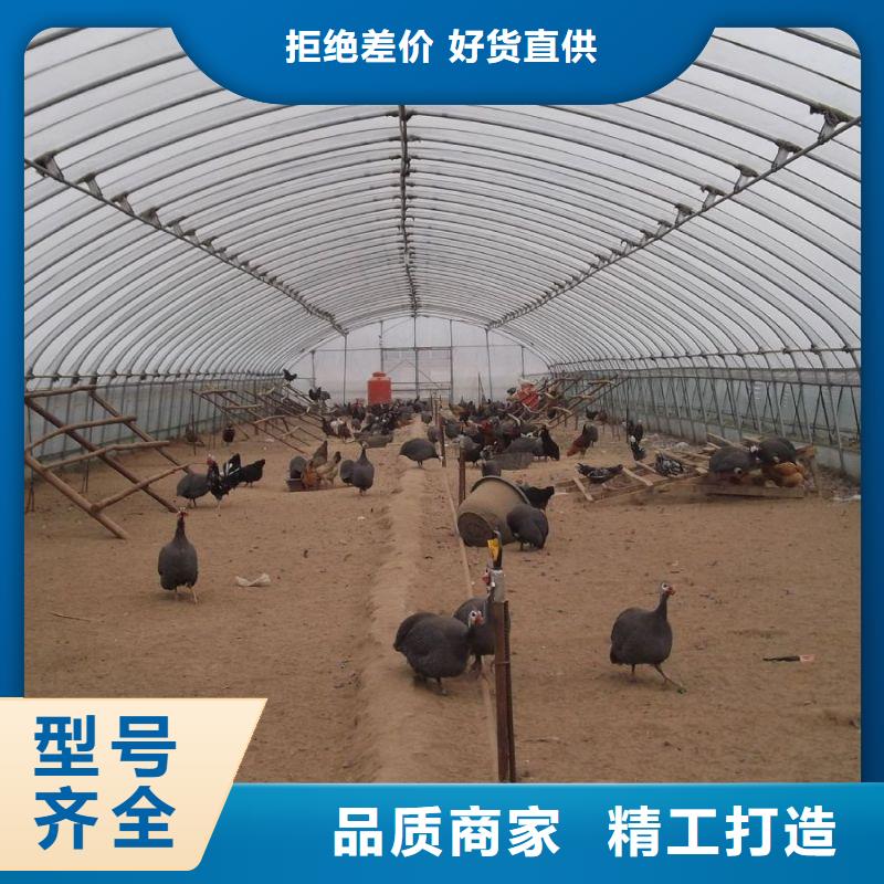 大棚管2
大棚管用品质赢得客户信赖