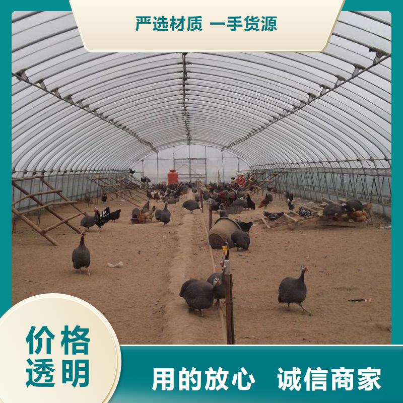 大棚管2-温室大棚管严格把控每一处细节