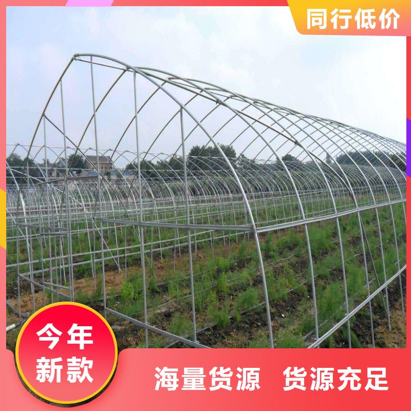 大棚管2【大棚管】细节展示