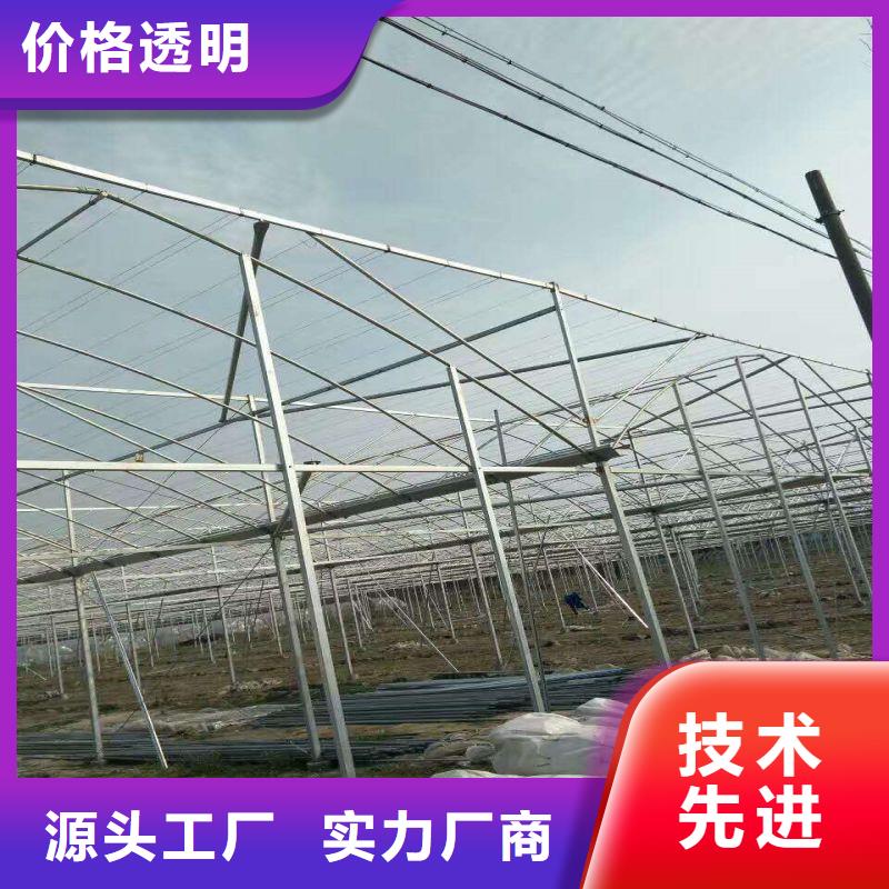 大棚管2-温室大棚管匠心打造