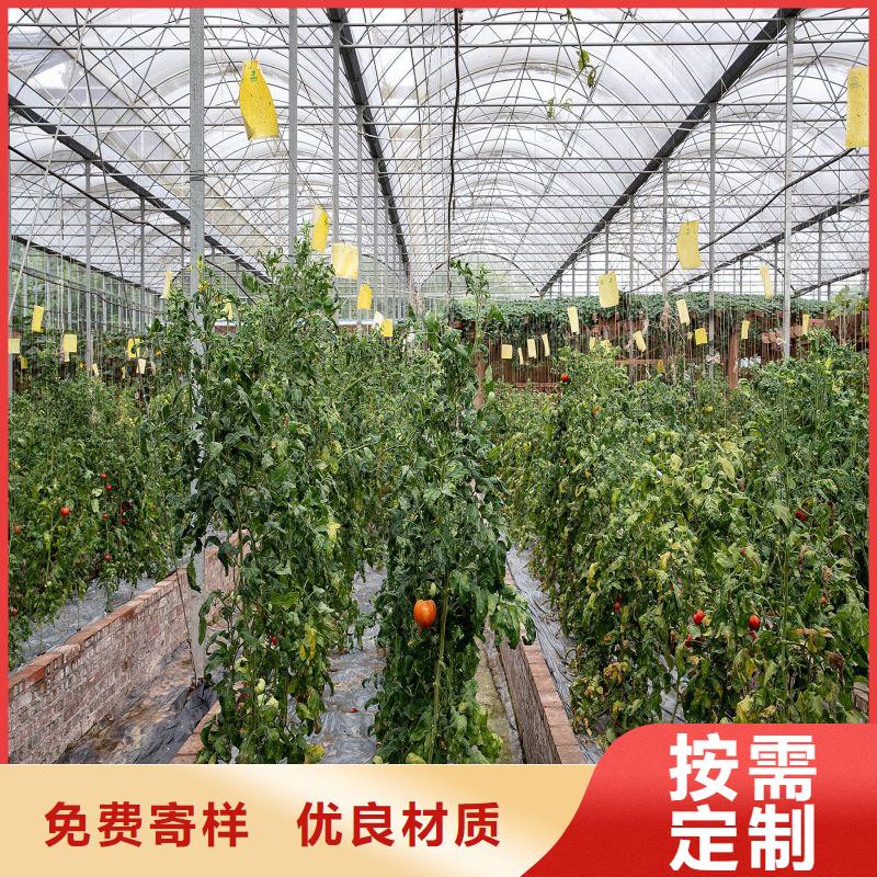 大棚管2连栋大棚管工程施工案例