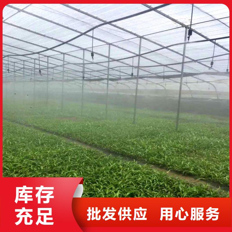 大棚管2【大棚骨架】海量现货直销