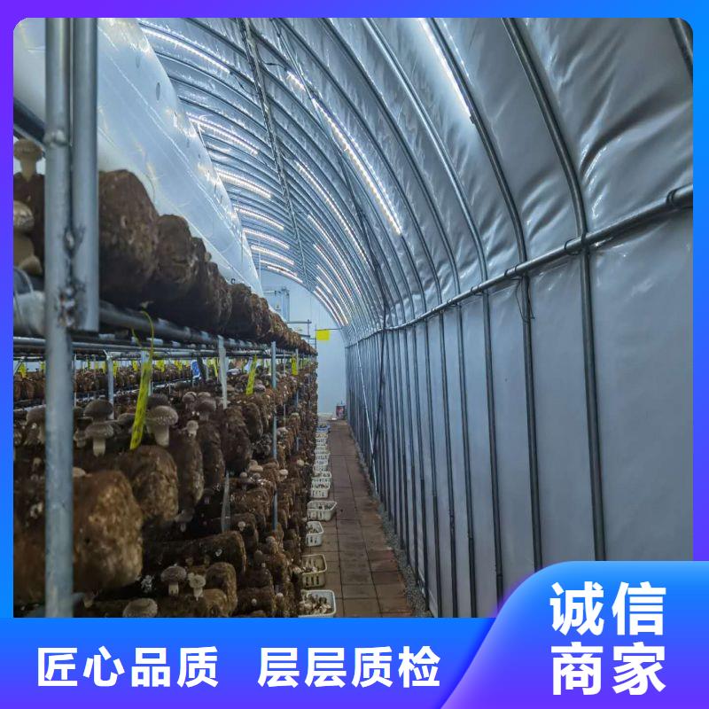 大棚管2-大棚管多年实力厂家