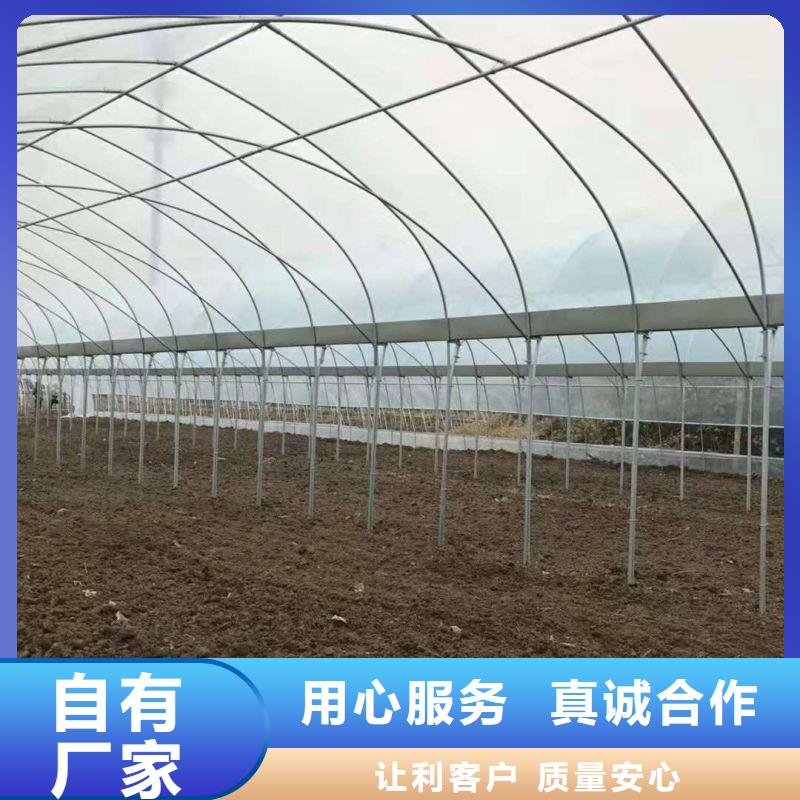 大棚管2-镀锌大棚管用心做好细节