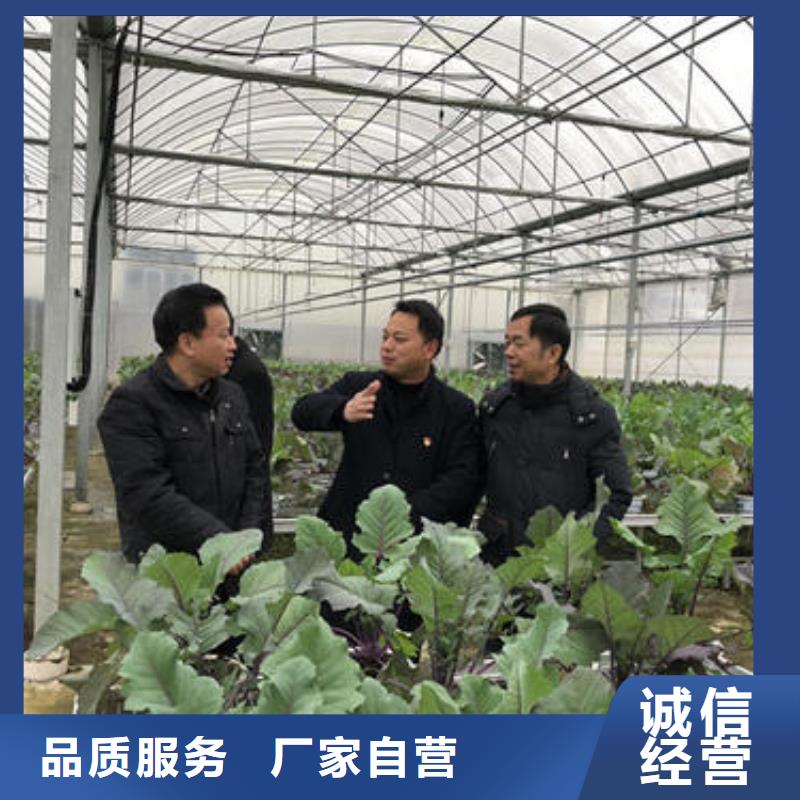 【大棚管】,方矩管全新升级品质保障