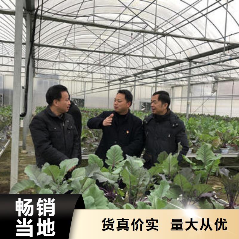 大棚管【温室薄膜大棚】源头厂家经验丰富