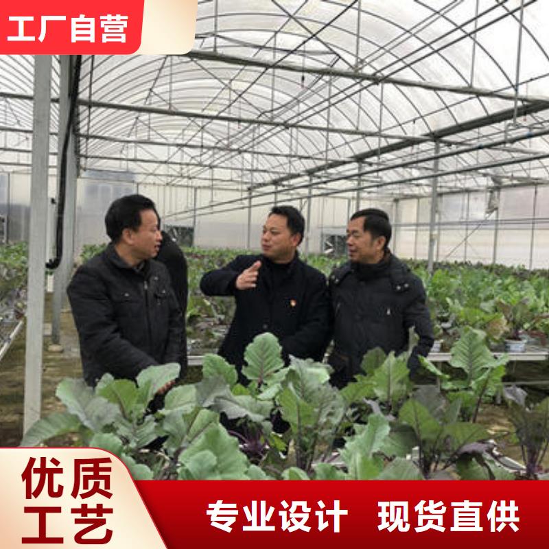 大棚管智能温室大棚厂家售后完善