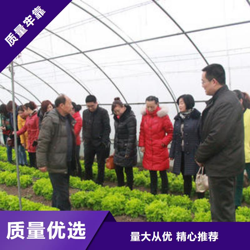 大棚管,方矩管支持大小批量采购