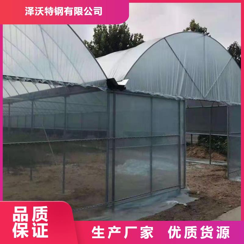 大棚管
大棚管厂家一手货源