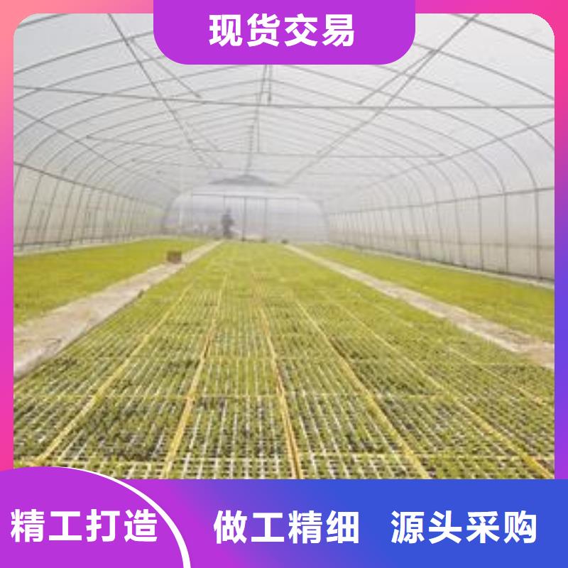 大棚管-大棚管厂家诚信厂家