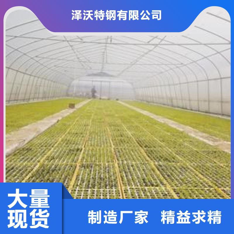 大棚管48小时发货