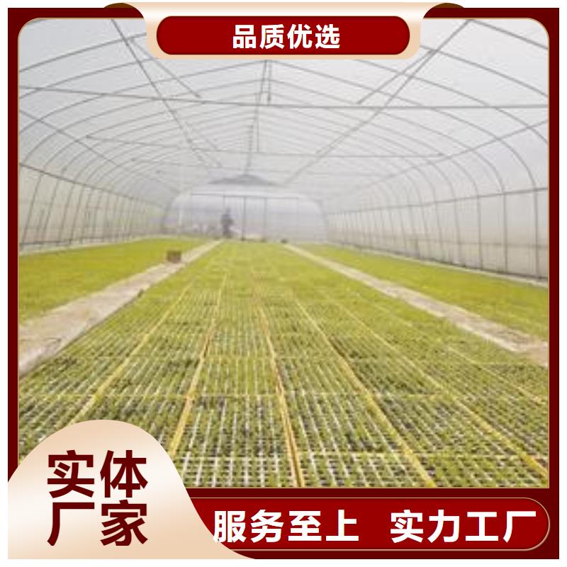 大棚管,方矩管支持大小批量采购