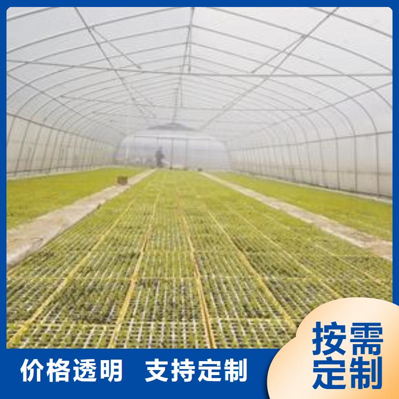 【大棚管温室大棚管厂家现货供应】