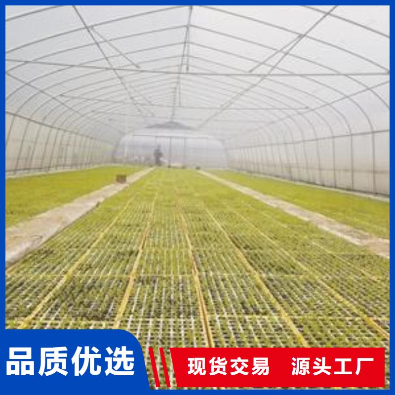 大棚管连栋大棚管的简单介绍