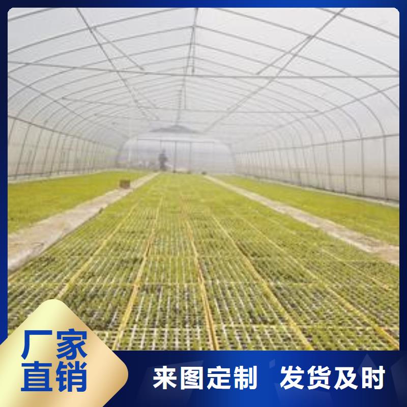 【大棚管农业养殖大棚管工艺精细质保长久】