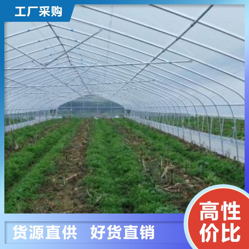 大棚管-连栋大棚管专业生产N年