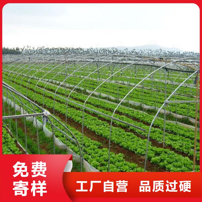 大棚管连栋大棚管精品优选