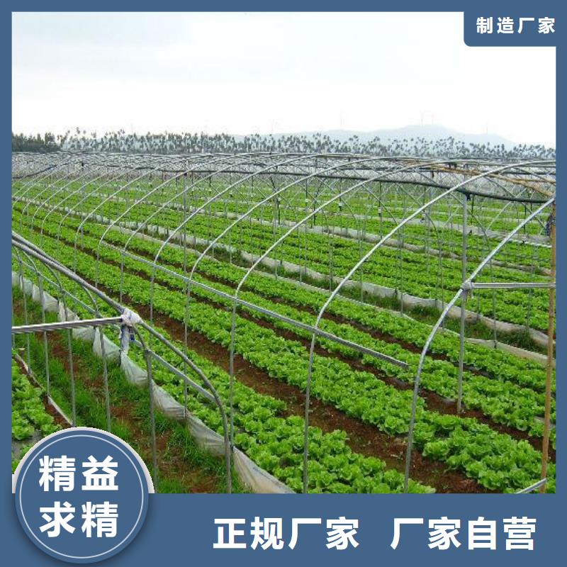 大棚管连栋大棚管大厂生产品质