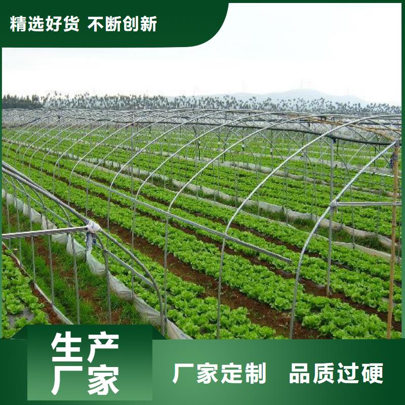 【大棚管】镀锌方管厂家直销货源充足