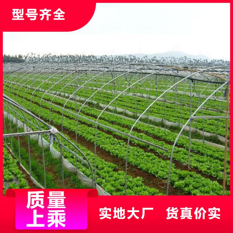 大棚管蔬菜温室大棚管质量牢靠