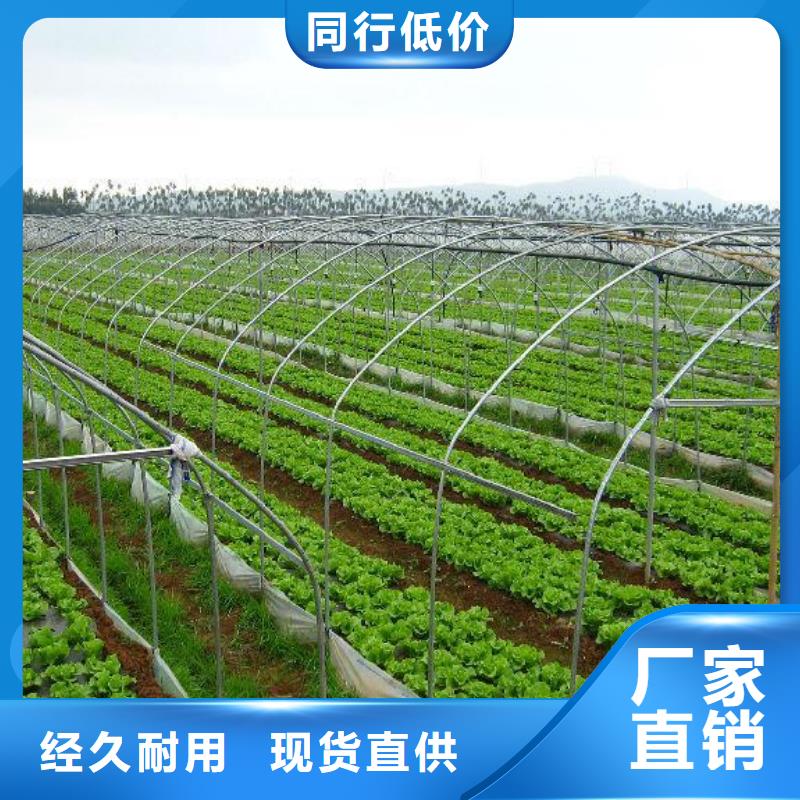 【大棚管】,镀锌大棚管供应采购