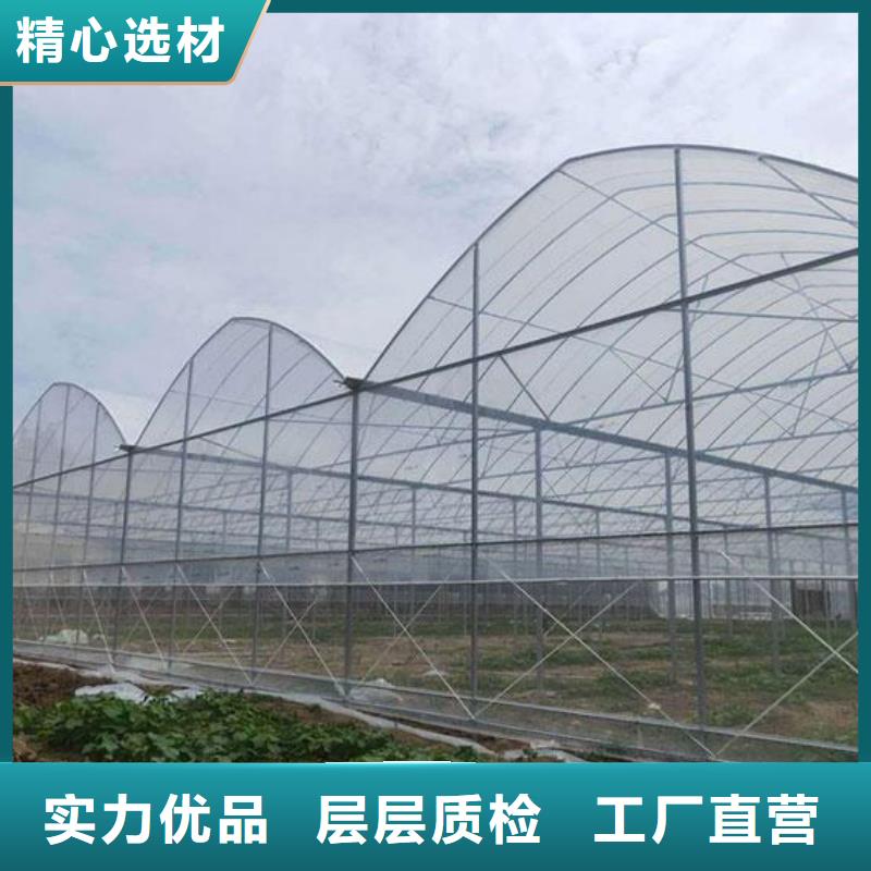 大棚管连体大棚工期短发货快