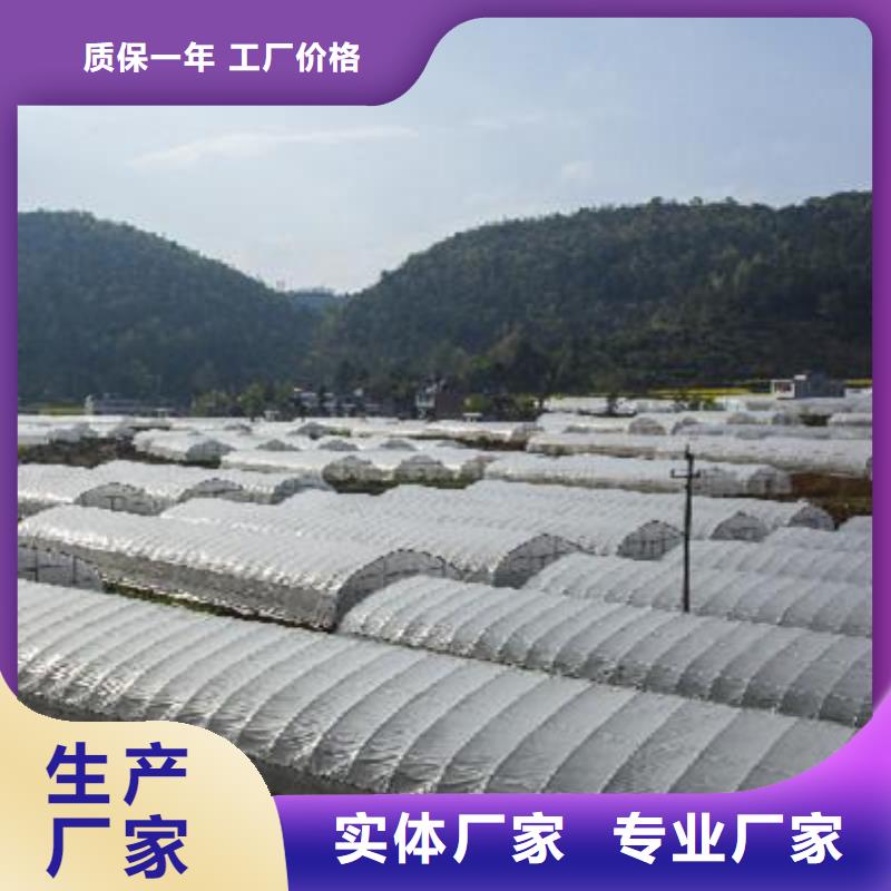 大棚管连栋大棚管厂家新品