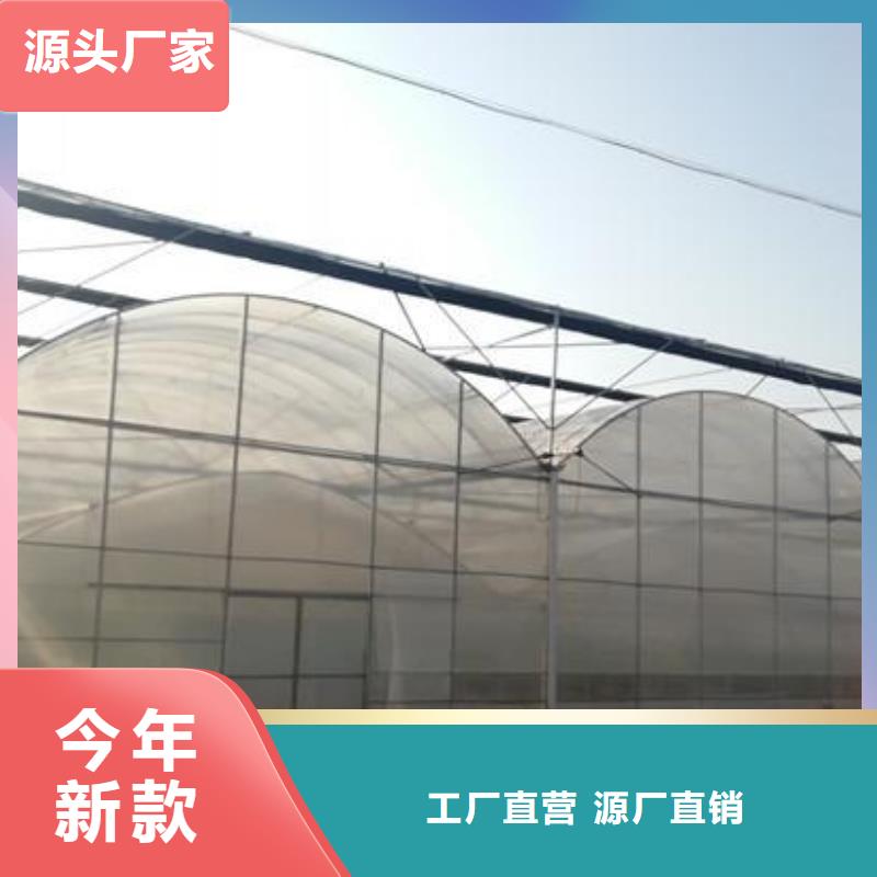 大棚管农业养殖大棚管好厂家有担当