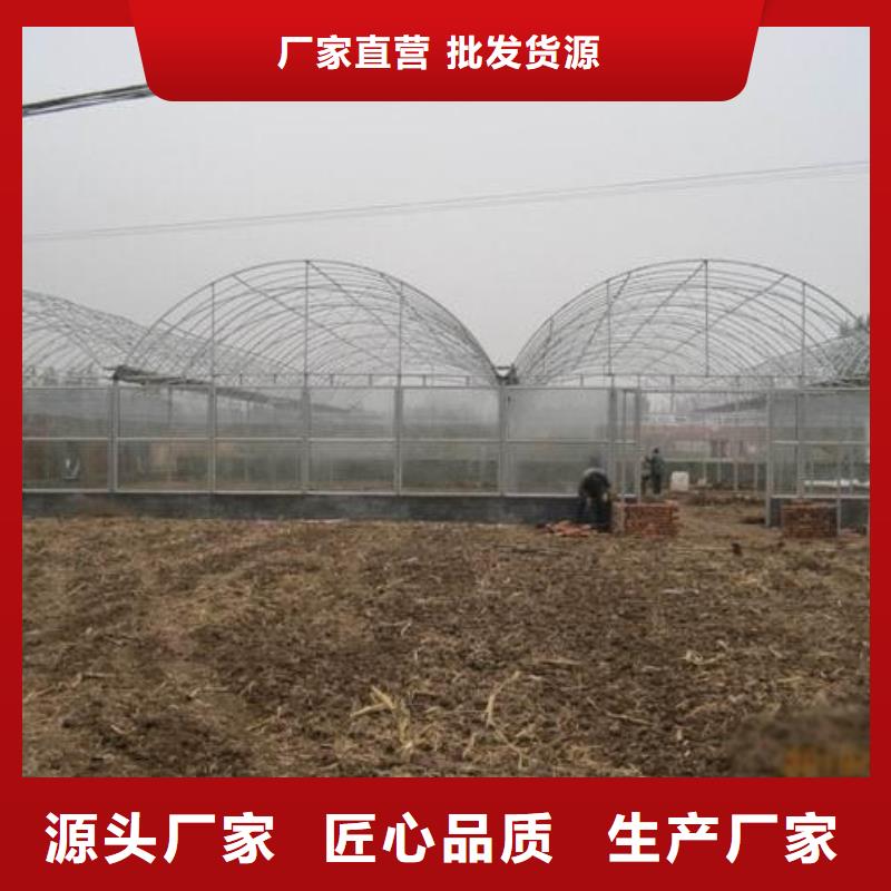 大棚管农业养殖大棚管诚信可靠