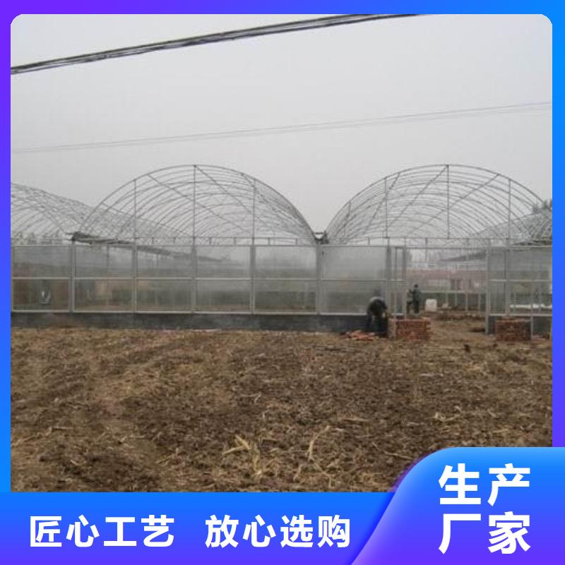 【大棚管】温室大棚优选好材铸造好品质