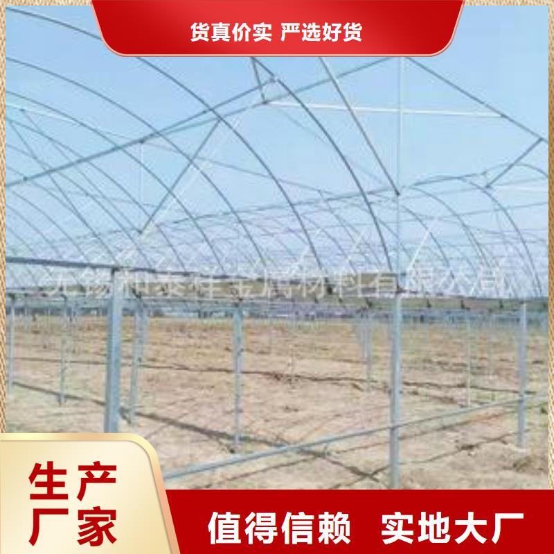 大棚管温室大棚管应用范围广泛